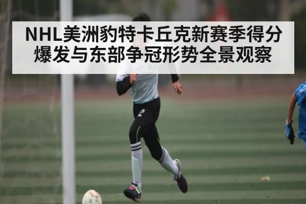 NHL美洲豹特卡丘克新赛季得分爆发与东部争冠形势全景观察